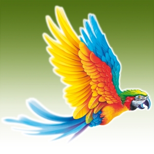 PARROT - Illustration by Eric PHILIPPE