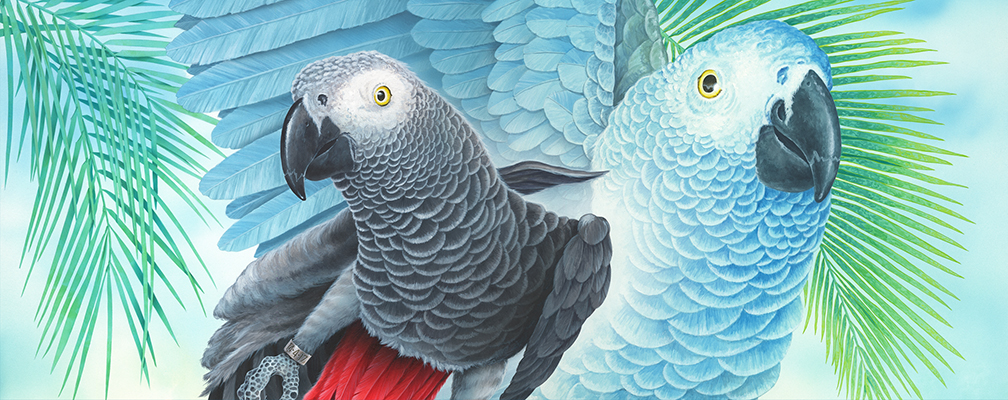 Illustration - PAULIE - ©Eric PHILIPPE - Private collection